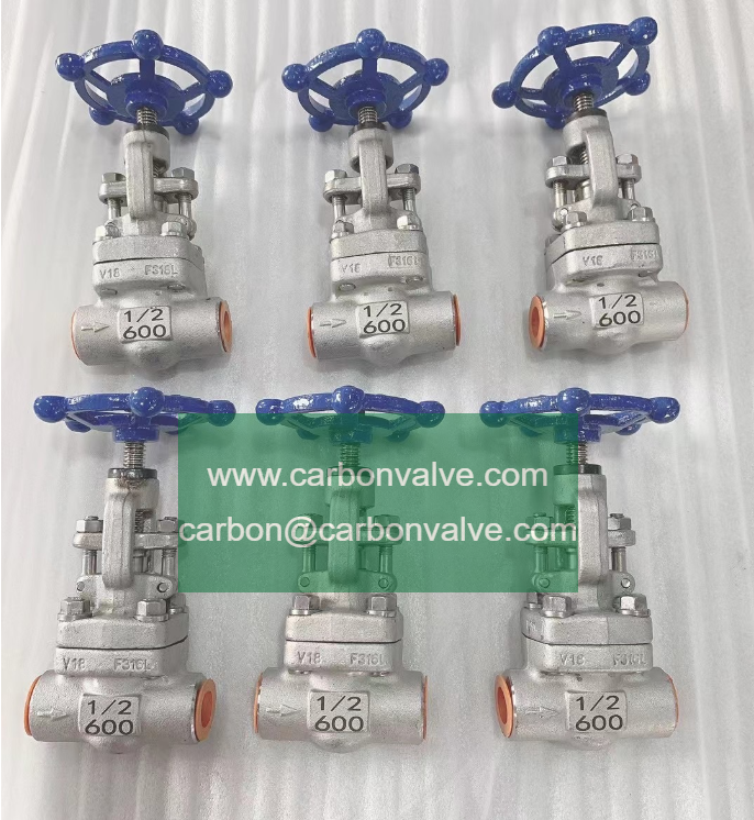 A182 F316L Gate Valve