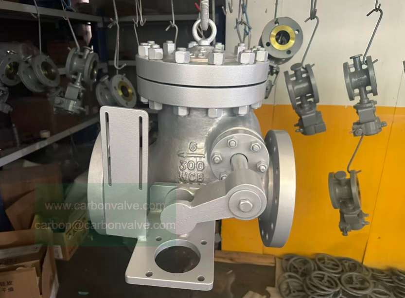 Axial check valves Axial check valves