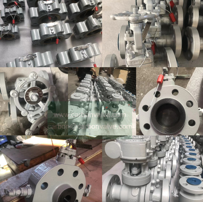 CARBONVALVE UAE PROJECT