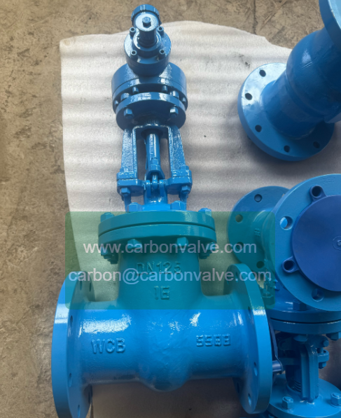EPDM lined gate valves