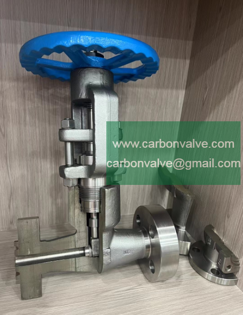 Forged flanged pressure sealed globe valves