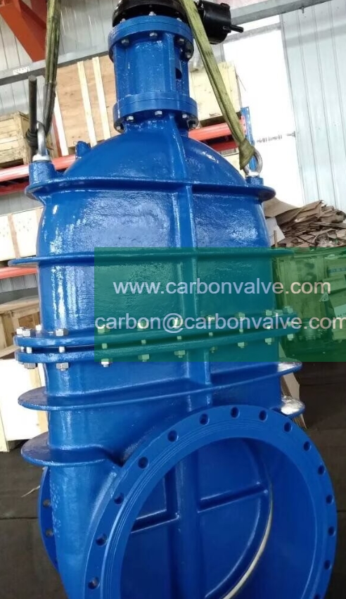 Large diameter gate valve