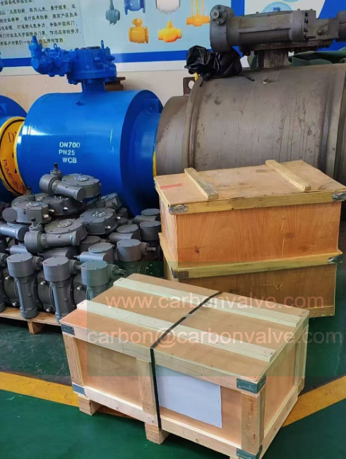 butterfly valves in package