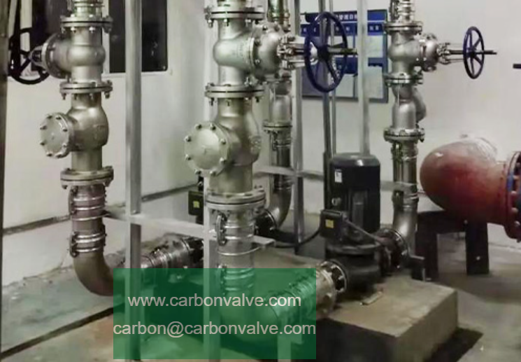 check valves system