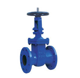 DIN 3352-F5 RISING STEM GATE VALVE